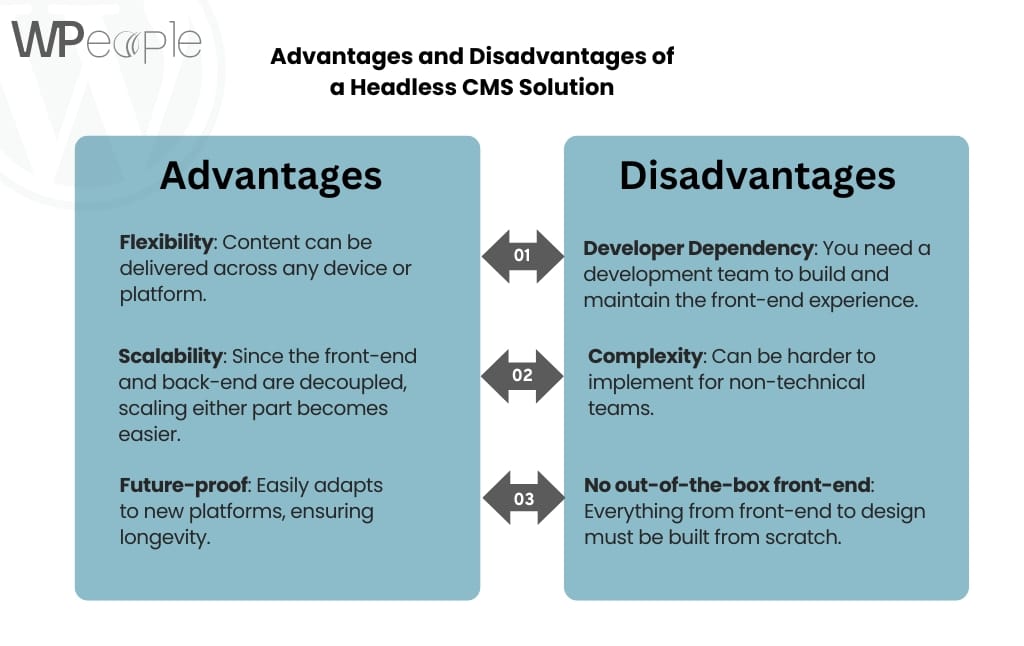 Advantages and Disadvantages of a Headless CMS Solution